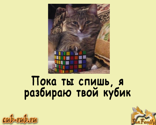 rubik-cubik.ru