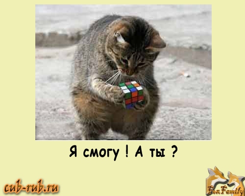 rubik-cubik.ru